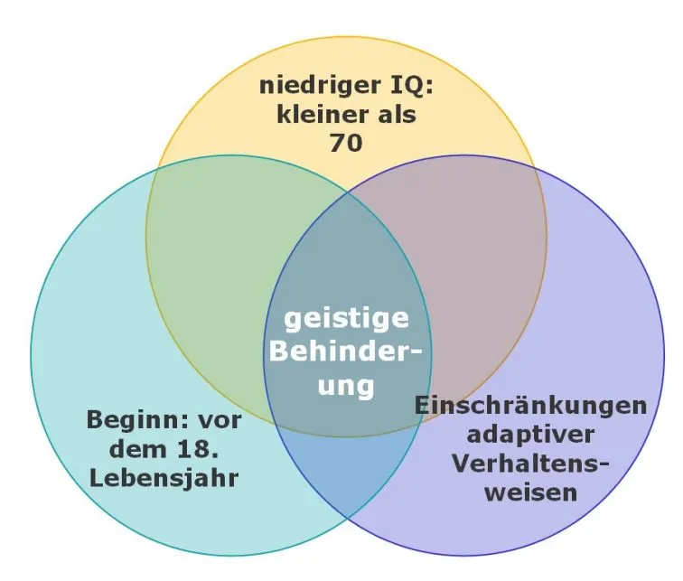 Merkmale_Geistige_Behinderung
