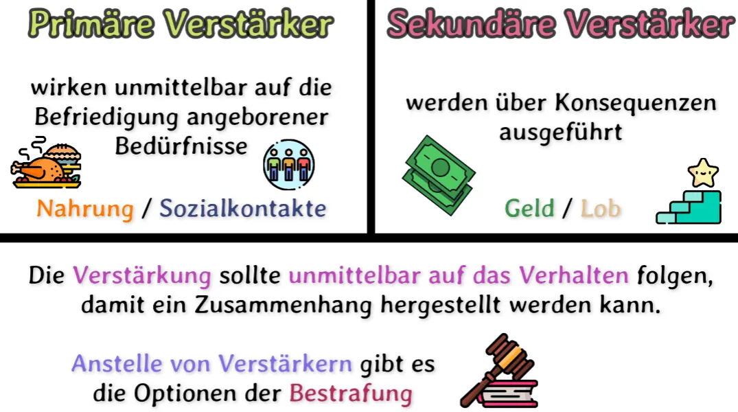 Primäre und Sekundäre Verstärker