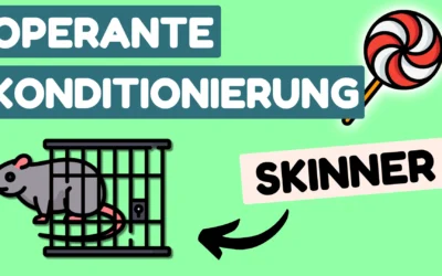 Lexikon 10 Die Operante Konditionierung mit Beispielen – Skinner