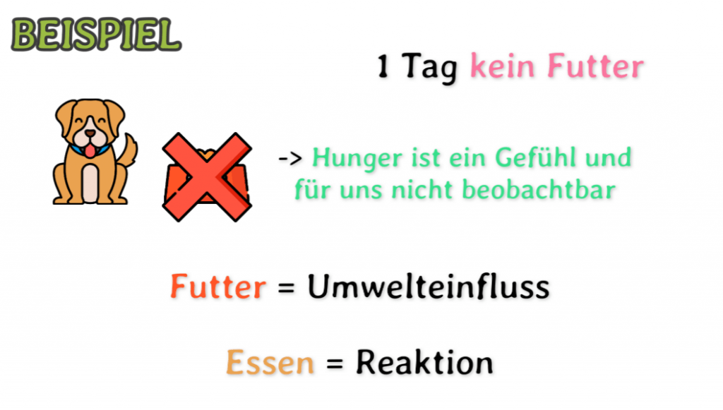 Beispiel Hund kein Futter