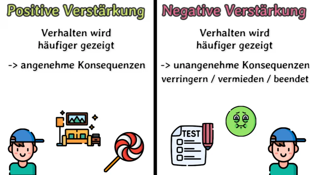 Die Operante Konditionierung mit Beispielen - Skinner 3 Positive und Negative Verstärkung
