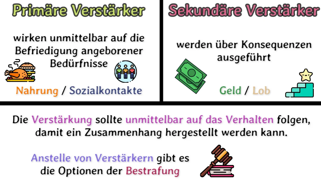 Die Operante Konditionierung mit Beispielen - Skinner 4 Primäre und Sekundäre Verstärker