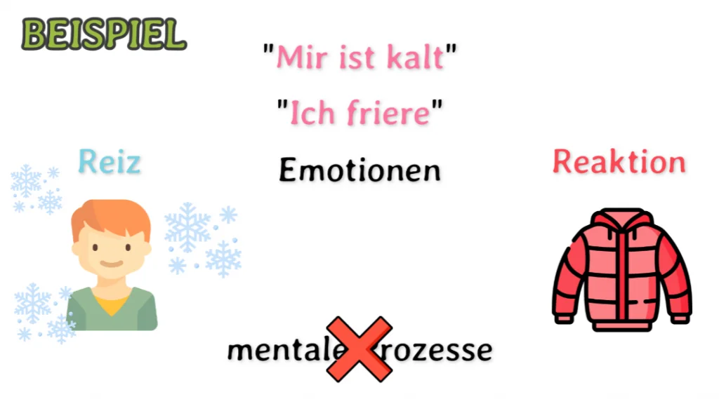 Behaviorismus: Definition nach Skinner - Lerntheorie 3 Reiz Reaktion