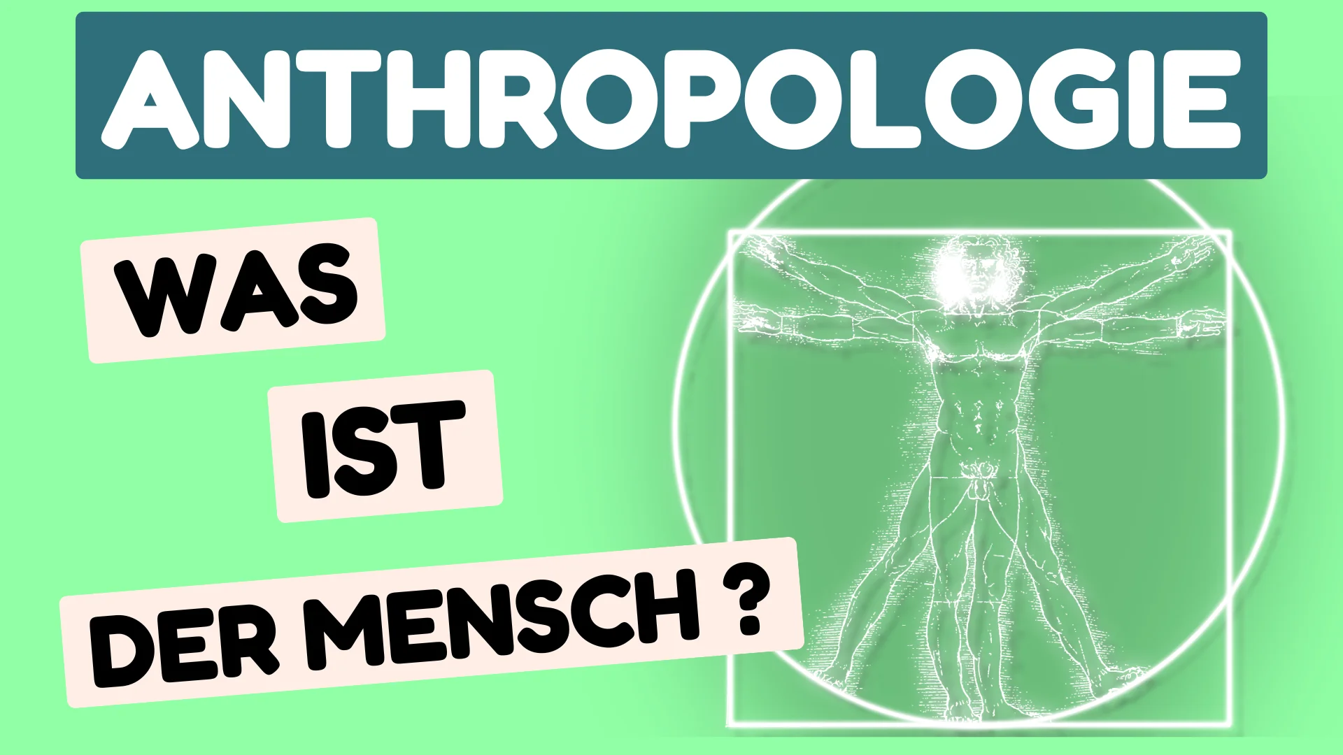 Anthropologie definition