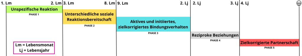 Bindungstheorie nach John Bowlby - Annahmen und Bindungsphasen 2 Bindungstheorie_John_Bowlby