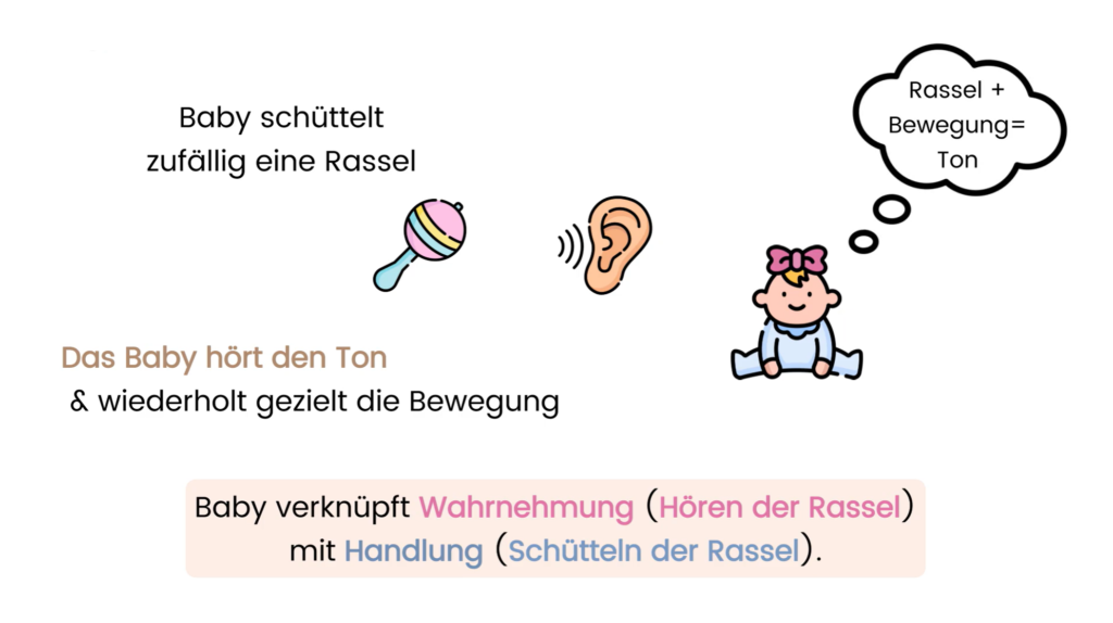 Kognitive Entwicklung nach Jean Piaget - Entwicklungsstufen 3 Sensomotorische_Intelligenz